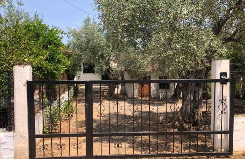 ELAIA by the sea guesthouse - Photo 14