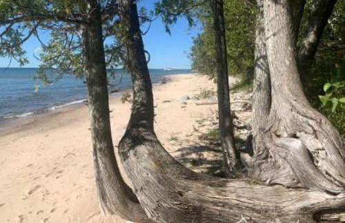 A-Frame Cabin on Lake Michigan - Foto 19