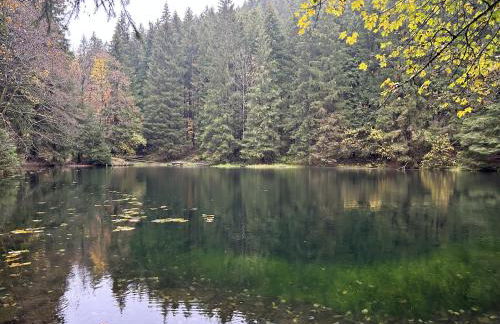 Ferienwohnung Tannenblick 2-1 - Foto 22