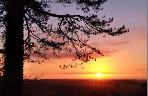 Sea Moss Cabin - Foto 38