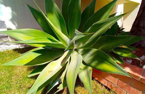 Lisbon South Bank Charming Pool Duplex & Garden BBK - Foto 51