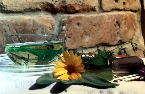 Urlaub im Oberstübchen - Foto 7