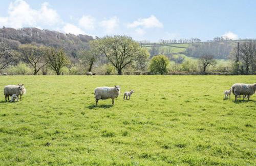 Pant Y Cwtsh - Foto 25