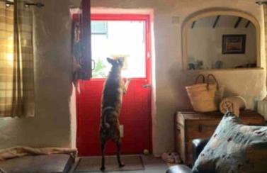 Stone Wall Cottage - Foto 8