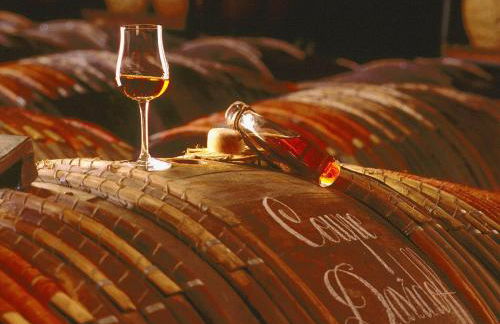 Luxury Villa in France with Pool - Foto 13