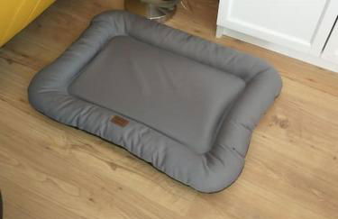 Schicke hundefreundliche Wohnung - Foto 12