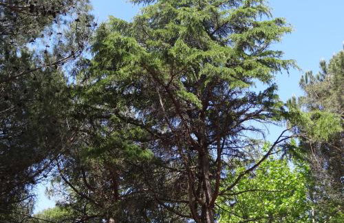 Adriatic Houses Borse - Foto 29