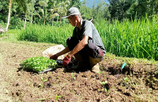 duegoal farmhouse - Photo 45