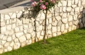 Apartman "Anna" - Foto 24