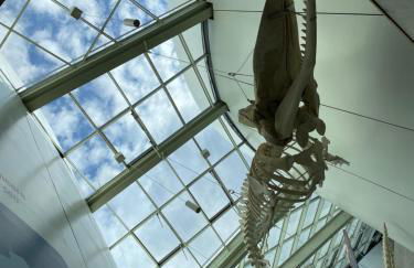 Altes Siedlerhaus Nesebanz - Foto 44