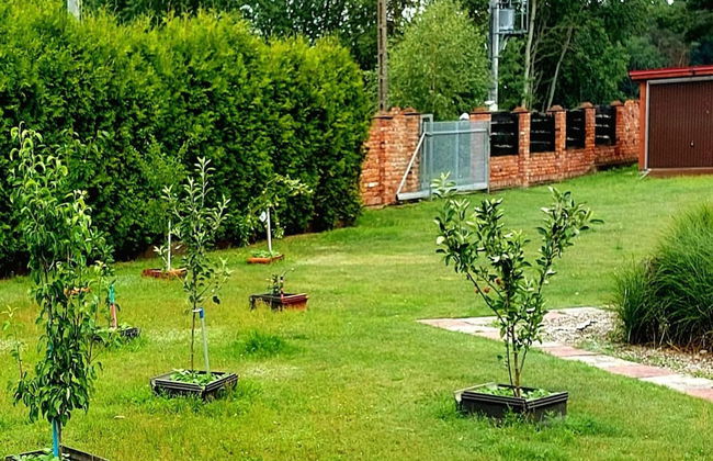 Holiday Home in Nowe Warpno - Photo 10