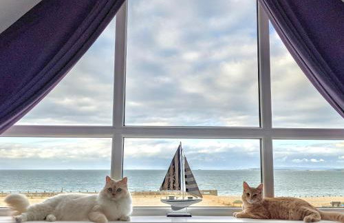 Ocean View - Photo 19