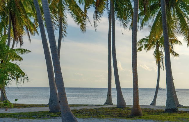 Motu Fara Private Island - Photo 44