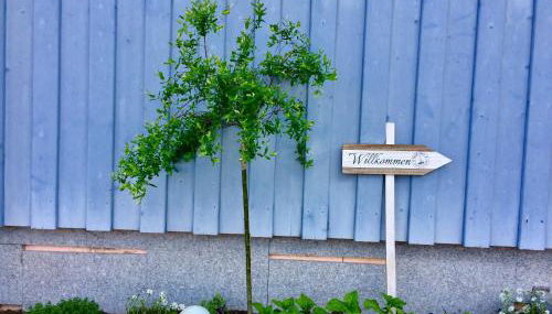 Haus Kunterbunt - Foto 2