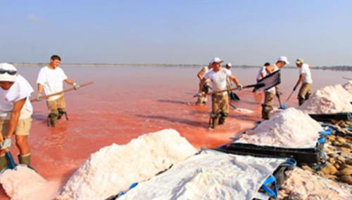 Charmant appartement au calme situé en Camargue - Foto 5