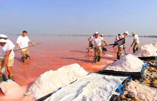 Charmant appartement au calme situé en Camargue - Foto 5
