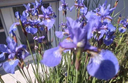 Carlchens Casa - Photo 29