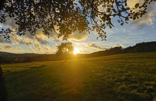 Schön gelegene Ferien-/Pendlerwohnung nahe Rothaarsteig mit guter Anbindung - Foto 10
