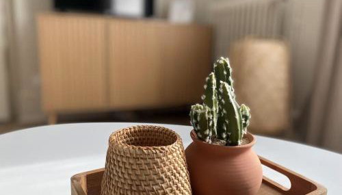 Le cocon du Faubourg - Foto 4