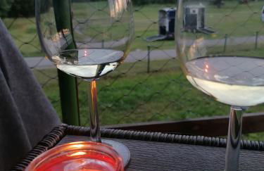 Weidmannsruh Natur pur - exklusives Tiny house - Foto 7