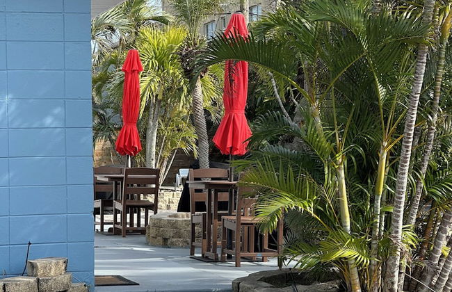 Coco Sands Studios - Foto 75