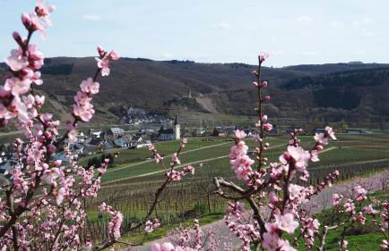 Ferienwohnung Gerhard Lenz - Foto 43