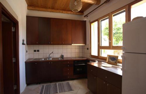 Tholos by Praxithea Stone House & Pool - Foto 12