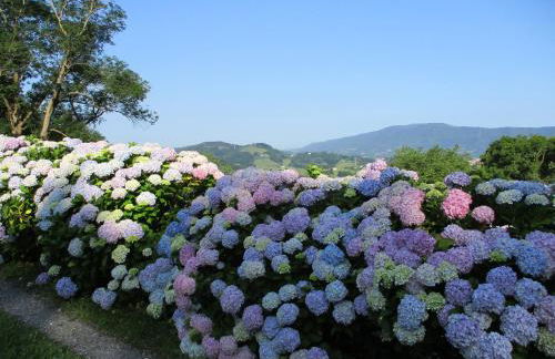 Apartamentos rurales AGIÑAGA - Foto 58