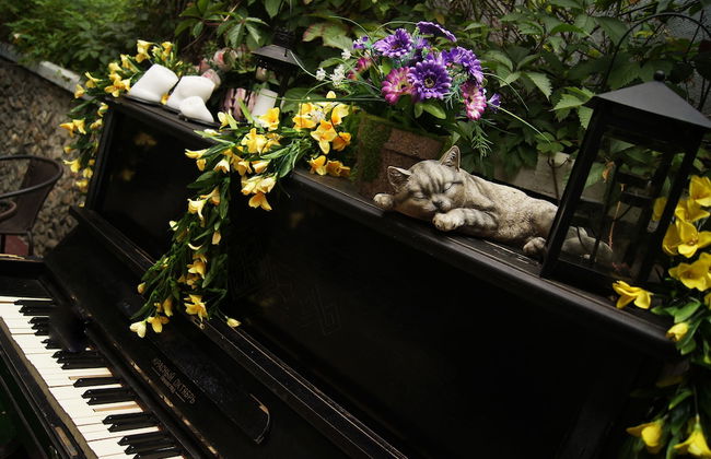 Apart-hotel Sunrise - Photo 55