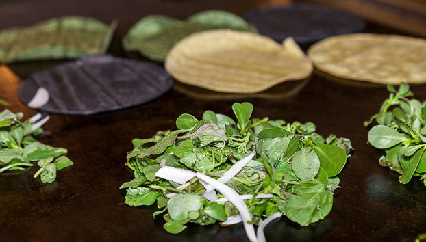 Tour des Tacos et du Mezcal - Photo 4