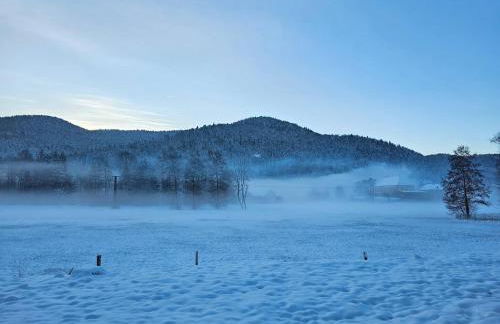 Maison au pied des 1000 étangs - Foto 64