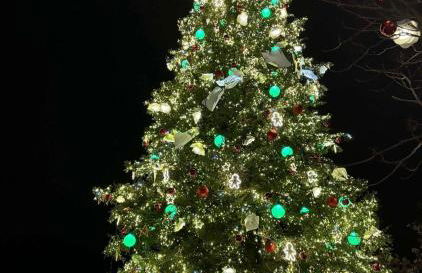 Cocon au cœur des Vosges - Foto 33