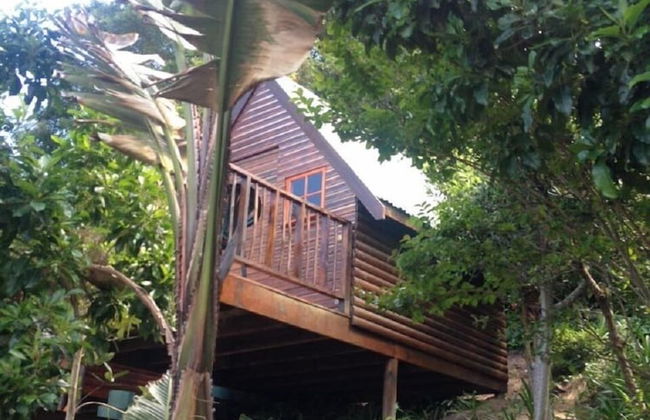 Knysna Lodge Self Catering Accommodation - Foto 41