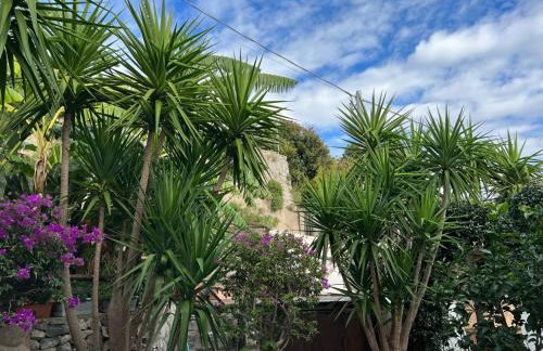 Blue Dream - Amalfi Coast - Foto 54