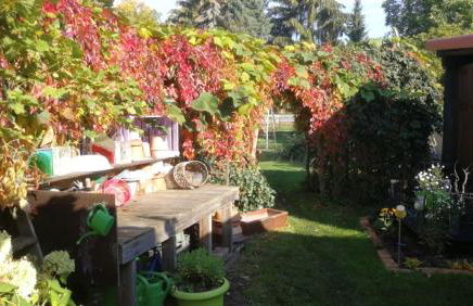 Ferienwohnung-gurran - Foto 13