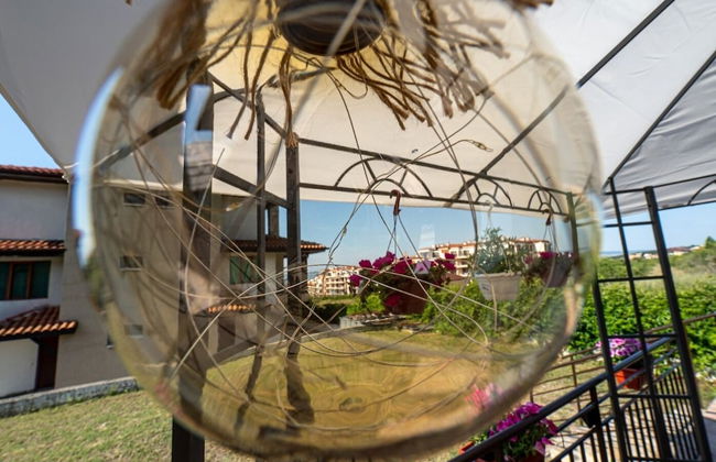 Buongiorno Premium - Photo 20