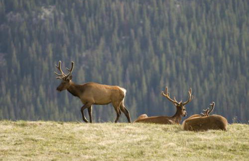 Mountain Peak Home - Foto 49