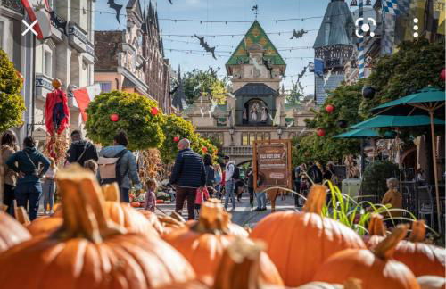 Location grand MH proche europa park 4 personnes - Foto 47