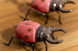 La perla del mar - Foto 27