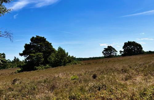 Lütt Heidjer Hus - Foto 27