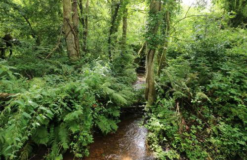 Charlecote House - Photo 24