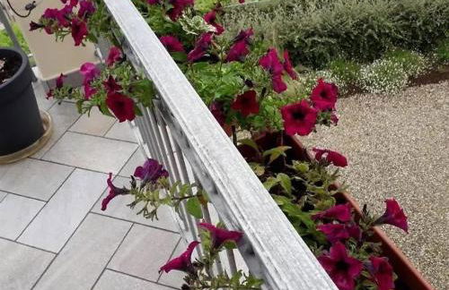 Villa Lilli Beta Bella Appartamento Verde comfort inclusivo design senza barriere - Photo 29