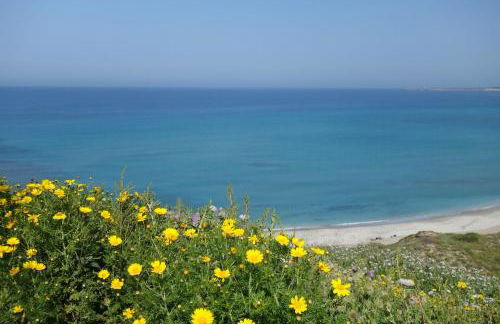 Vacanze a Villa Ortensia - Foto 51