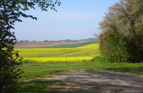 Gemutliche Ferienwohnung in Satow - Photo 35