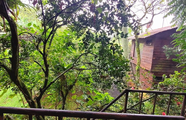 Las Cabanas - Foto 52