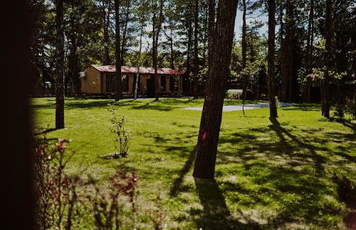 Domki Dollar -Plaża Nowe Guty - Foto 30