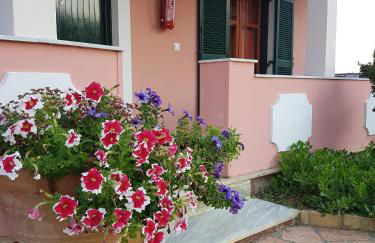 Sunshine Apartments - Foto 10