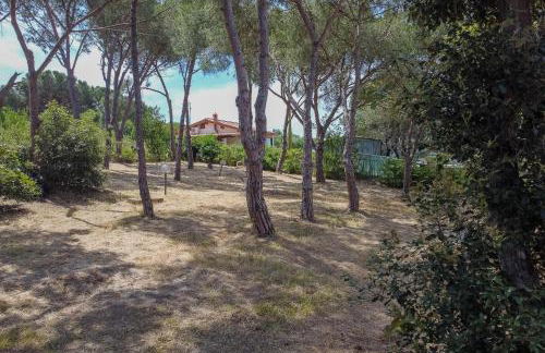 Villa Dei Pini - Foto 54