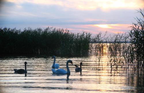 Feriendorf Boeker Mühle - Foto 19