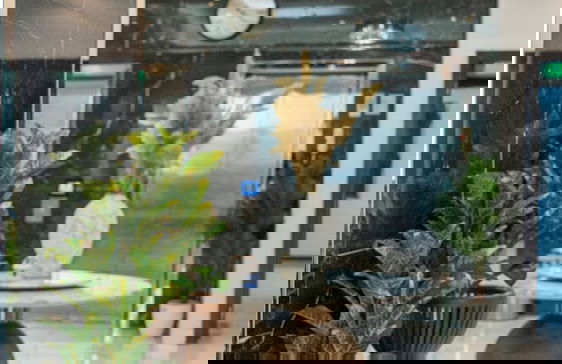 Al Safwa One - Photo 17